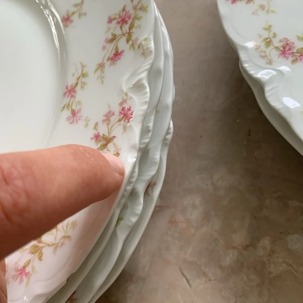 6 Vintage HAVILAND LIMOGES‎ France Fine China Pink FLOWERS 9 1/2